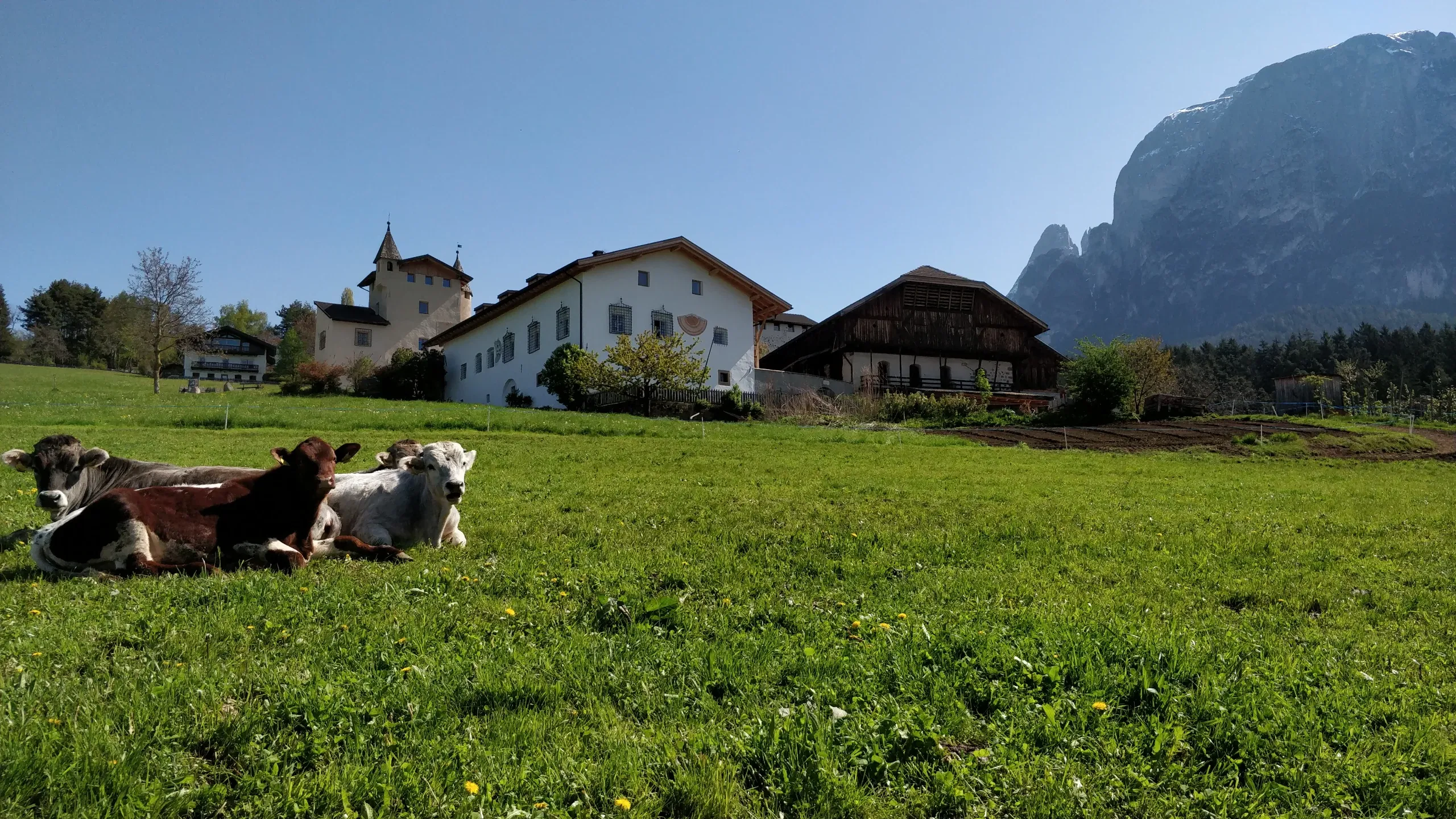 Galerie Bilder Zimmerlehen